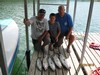 (07/24/2018) - Nice Striped Bass